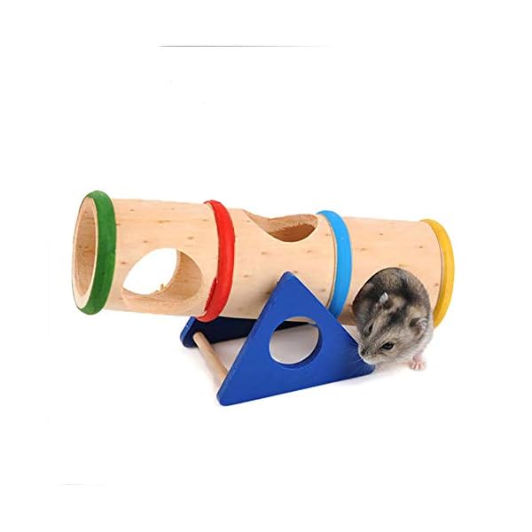 1PC Hamster Altalena Colorata di Legno Cilindro Hamster Tubi Altalena Giocattolo Piccoli Animali Parco Giochi Divertirsi… Marca: Asien 1PC Hamster Altalena Colorata di Legno Cilindro Hamster Tubi Altalena Giocattolo Piccoli Animali Parco Giochi Divertirsi…