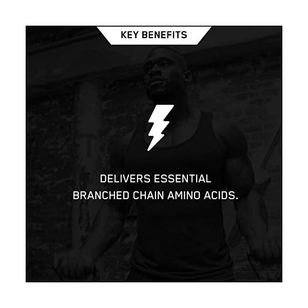 Optimum-Nutrition-BCAA-1000-Powder-Branched-Chain-Amino-Acids-with-L-Leucine-L-Isoleucine-and-L-Valine-Unflavoured-BCAA-Supplements-200-Servings-400-Capsules Optimum Nutrition BCAA 1000 Branch Chain Amino Acids with L-Leucine, L-Isoleucine and L-Valine. BCAA supplement by ON…