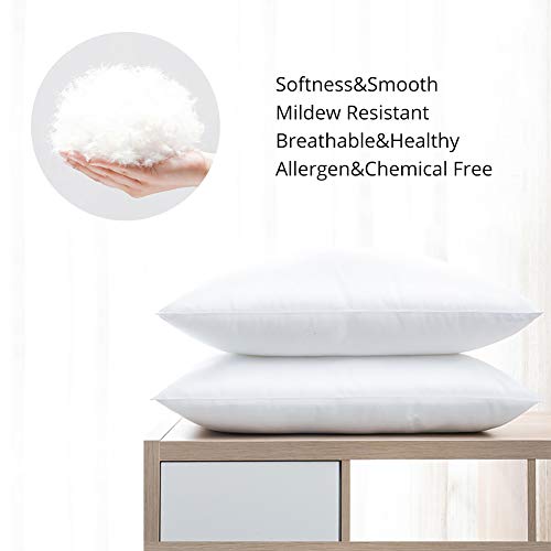 Emolli Hotel Bed Pillows for Sleeping 2 Pack Luxury Plush Pillows