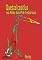 Livro Quetzalcoatlus no Atlas dos Pré-históricos (Animais e Algo a Mais)