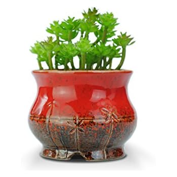 VanEnjoy 4 inch Vintage Style Round Ceramic Succulent Pot, Fruit Design Pomegranate Shape, Multi Color/Colorful Glazed, Indoor Home Décor Cactus Flower Bonsai Pot Planter (Round Red)