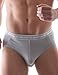 DAVID ARCHY Men's 4 Pack Micro Modal Separate Pouch Briefs with Fly (M, Gray)