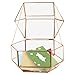 Koyal Wholesale Geometric Glass Wedding Card Box, Rose Gold Wedding Reception Drop Box, Terrarium Glass Planter