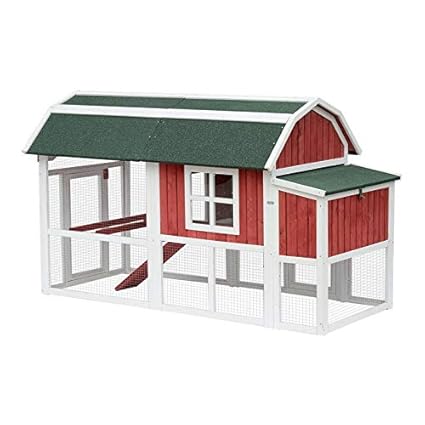 Amazon Com Archie Oscar The White Red Gerke Barn Backyard
