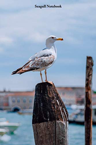 Seagull Notebook: Cool Seagull notebook - Travel Journal to write in - 120 pages - 6"x9"