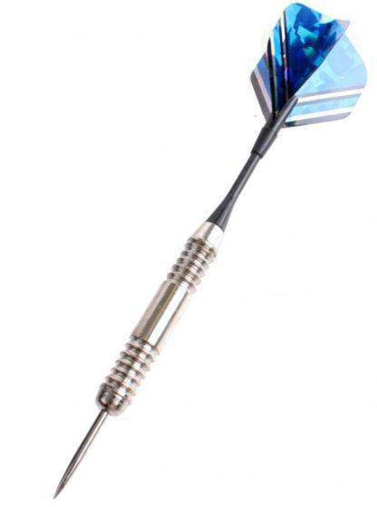 Master Darts Darts Set in Case 24 g Black/Blue