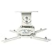 QualGear PRB-717-WHT Universal Ceiling Mount Projector Accessory primary