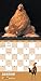Extraordinary Chickens 2017 Wall Calendar