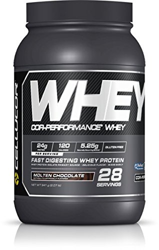 Cellucor Whey Protein Isolate Powder with BCAAs, Post Workout Recovery Drink, Gluten Free Low Carb Low Fat, Molten Chocolate, 28 Servings