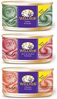 amazon wellness cat food