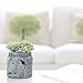 MyGift 4.7-Inch Realistic Artificial Green Succulent Plant Arrangement in Vintage Distressed Gray Ceramic Jar Pot