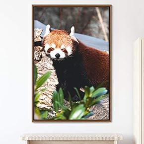 signwin Framed Canvas Wall Art Red Panda Animals...