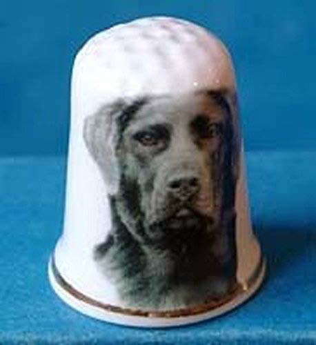 Porcelain China Collectable Thimble --- Black Labrador Dog
