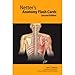 Netter's Anatomy Flash Cards: With STUDENT CONSULT Online Access (Netter Basic Science)