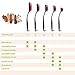 BEZOX Silicone Makeup Brush, Set of 5pcs Oval Makeup Brushes, Cream/Cosmetics/Foundation Application Tools - W/Makeup Brushes Acrylic Holder