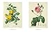 The Roses: Pierre-Joseph Redoute, 1759-1840