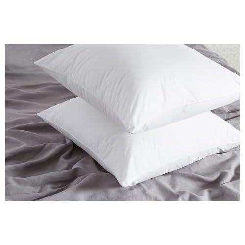 Splendid Collection Euro Pillow 28x28 Set Of 2 Euro Pillow