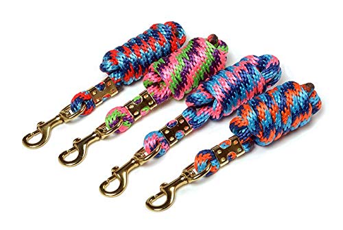 Shires Topaz Lead Rope Purple/Lime/Pink 8