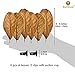 SunGrow Betta Bed Kit, 4 to 6-inches, Comfy Hammock, Rest Area for Fish, Improves Health by Simulating Betta's Native Habitat, 6 Beds + 2 Suction Cups Included