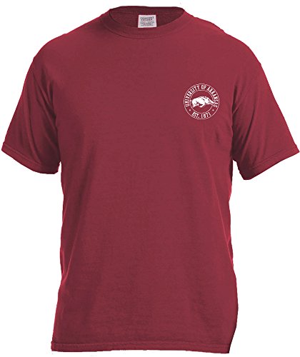 NCAA Arkansas Razorbacks Campus Building Short Sleeve Comfort Color Tee, Large, Chili