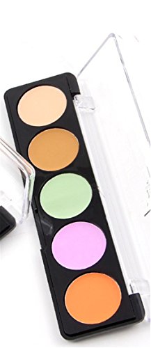 Pure Vie Pro 5 Colors Cream Concealer Camouflage Makeup Palette Contouring Kit