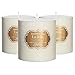 LA JOLIE MUSE Citronella Candles, Pack 3 Pillar Candle, Scented Natural Wax, 23 oz 70 Hours Burn Each, Outdoor and Indoor, White primary