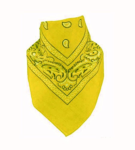 6 Color Pack Double Sided Print - Pack Of 6 Assorted Color Classic Paisley Bandanas