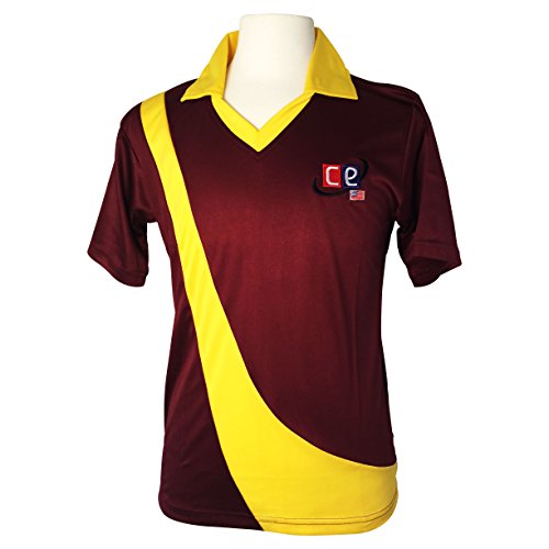 CE West Indies Color Cricket T-20 Kit Shirts Jersey & Pants Trousers West Indies Color (Jerseys Shirts, Large)