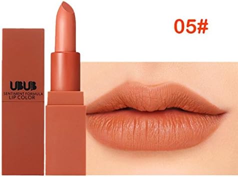Featurestop New Women's Waterproof Mist Face Silk Velvet Lipstick Matte Lipstick Long Lasting Lip Gloss Makeup Tool (E)