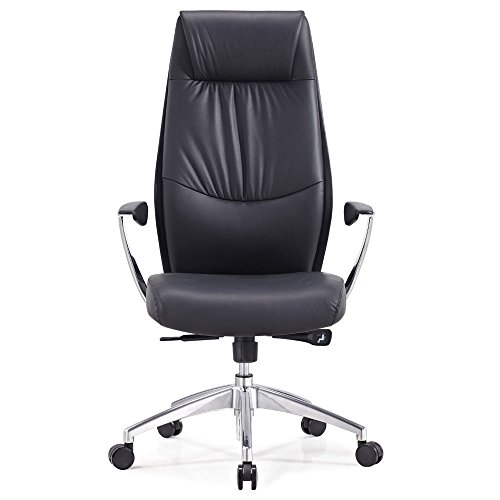 Zuri Furniture Modern Franklin Genuine Leather Adjustable Executive