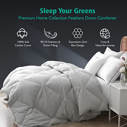 APSMILE Grey Feathers Down Comforter Queen Size, All Seasons Feathers