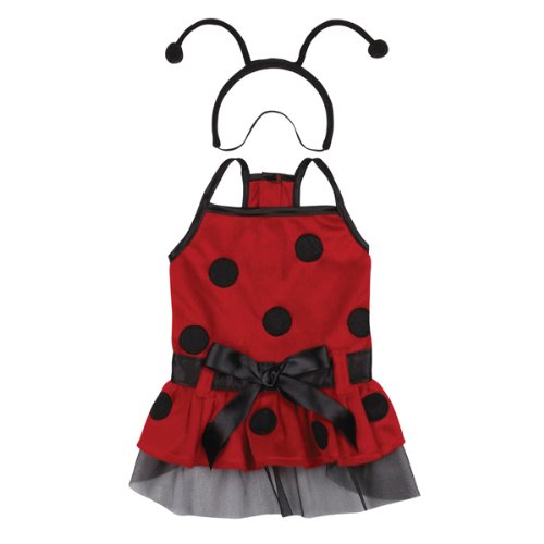 Casual Canine Plush Lady Bug Dog Costume, Small, 12-Inch