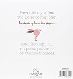 Image de Diccionario de los buenos modales