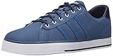 adidas NEO Men's Daily Lifestyle Skateboarding Sneaker,Ash Blue/Ash Blue,10.5 M US