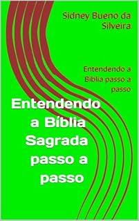 Livro Entendendo a Bíblia Ave Maria Passo a Passo: Entendendo a Bíblia Passo a Paoo