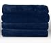 Sunbeam Microplush Heated Throw, Lagoon, TSM8US-R596-32A00