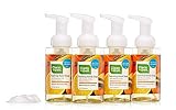 CleanWell Natural Antibacterial Foaming Hand Soap - Orange Vanilla, 9.5 Ounce (Pack of 4)