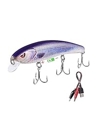TRUSCEND Señuelos para pescar bajos y truchas, señuelos retorcidos Recargable LED cebos que se hunden lentamente con ganchos Mustad de agua dulce y salada, Minnow Jerkbait Crankbait