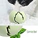 Vevins Cat Ball Toys, Flash Light Ball Catnip Ball Bell Ball Interactive Kitten Toys