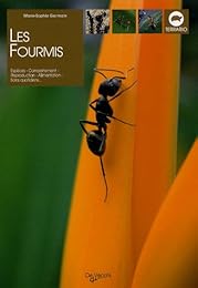 Les  fourmis