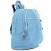 Kipling Challenger II Backpack