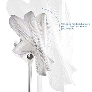 oscillating 1820 lasko