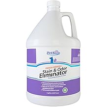 strong urine smell in carpet