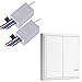 Wireless Light Switch and Receiver Kit for Lamps Ceiling Fans Appliances, Night Light Indicator, No Wiring No WiFi,2 Gang/Button 2Way (2 switches 2 receivers kit)