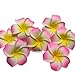 DreamLily Women's Fashion 3 Pcs Hawaiian White Plumeria Flower Foam Hair Clip Balaclavas for Beach (Candy Pink)
