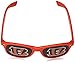 Siskiyou NFL Unisex Game Day Wayfarers Sunglasses