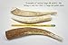 ONE (1) Large sized Elk Antler Chew Bone For Medium to Large Dogs, 7