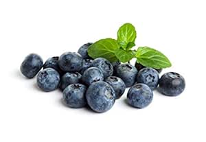 Fresh Frozen Organic Blueberries by Northwest Wild Foods - Healthy Antioxidant Fruit Diet - for Smoothies, Pies, Jams, Syrups (4.5 Pounds)