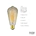 6-Pack Vintage Edison Light Bulbs, 40W E26/E27 Base Dimmable Replacement Vintage Incandescent Light Bulbs, Antique Squirrel Cage Lights, 110V, Pendant Ceiling Chandelier Antique Exposed Filament, HOM