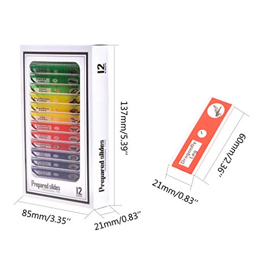 Hukai 12 Pcs Prepared Microscope Slides Set Specimen For Student Basic Biology Education - Thumbnail 7